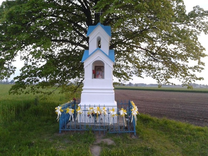 Kapliczki i krzyże z okolic Łowicza