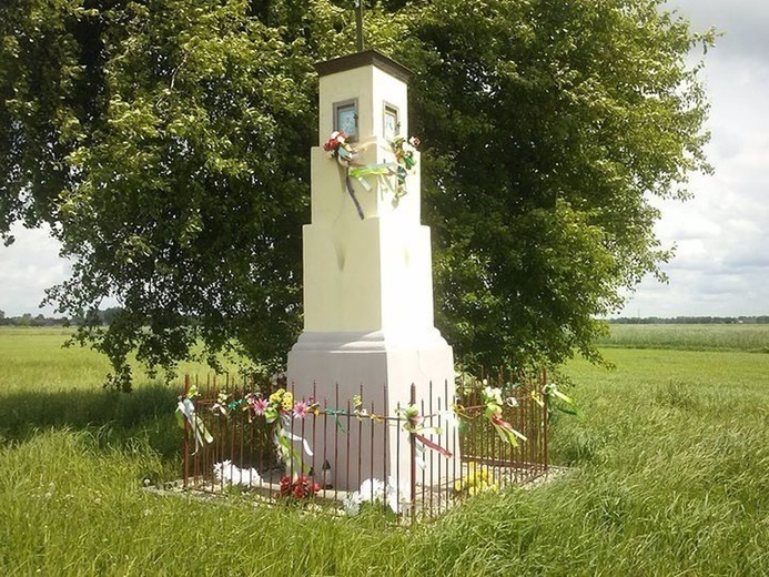 Kapliczki i krzyże z okolic Łowicza