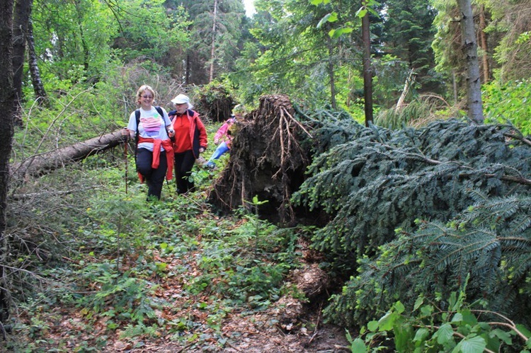 6. Franciszkański Rajd Kobiet - Śnieżnica 2014 cz. 2