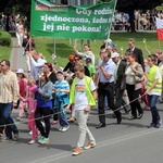 Marsz dla Życia i Rodziny w Łowiczu