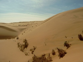 Polacy przebiegli przez pustynię Gobi