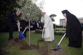 Franciszek "wywołał wielkie zamieszanie"