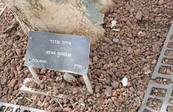 W muzeum Yad Vashem sprawiedliwi mają swe oliwne drzewka.Imiona i nazwiska wyryte są także na kamiennych tablicach