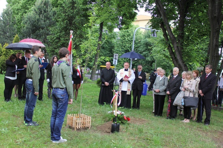 Dąb Pamięci st. post. Józefa Szarka w Oświęcimiu