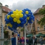 Bielsko-Biała ma flagę Europy