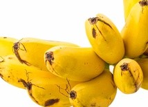 Końcówki bananów