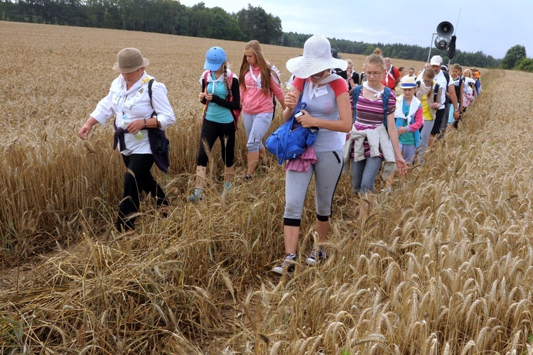 Do Rokitna - foto ks. R. Tomaszczuk