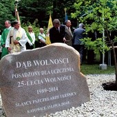 Dąb wolności zasadzili w czasie spotkania pszczelarze, leśnicy i księża