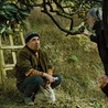 Markus (Elmo Nüganen) i Ivo (Lembit Ulfsak) pozostają neutralnymi obserwatorami toczącego się w Abchazji konfliktu do chwili, kiedy stają świadkami krwawej potyczki pomiędzy bojownikami wrogich oddziałów