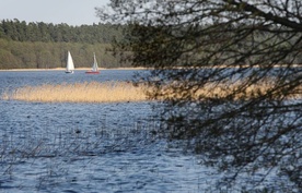 Na Mazurach kwitną sinice