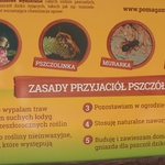 Wielki Dzień Pszczół w Mikołowie