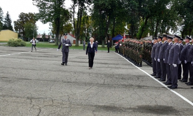 Przegląd pododdziałów