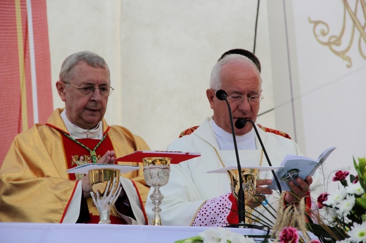 Koronacja obrazu Matki Bożej Suserskiej