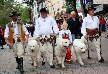 Festiwalu Folkloru Ziem Górskich
