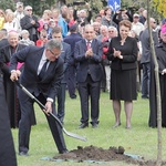 Dąb Wolności w Gdansku