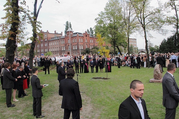 Dąb Wolności w Gdansku