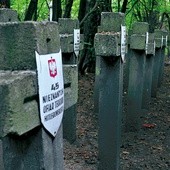  Każdy z krzyży na cmentarzach w lesie ościsłowskim odpowiada 26  lub 45 „nieznanym ofiarom terroru hitlerowskiego”