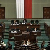"Stop pedofilii" w Sejmie