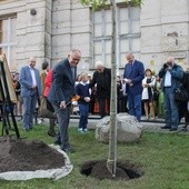 Hrabia ma we Wrocławiu ulicę i drzewo