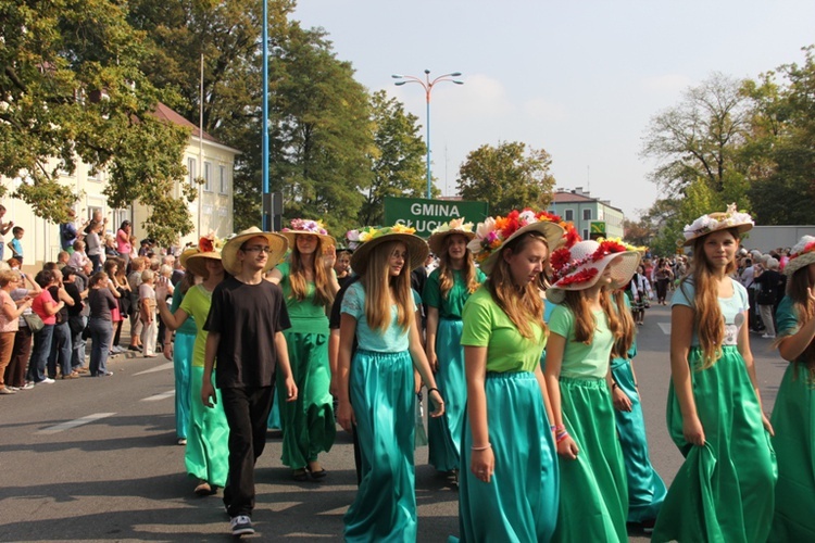 Skierniewickie Corso 2014