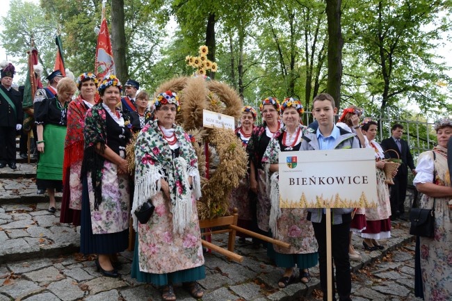 Dożynki diecezjalne na Górze św. Anny