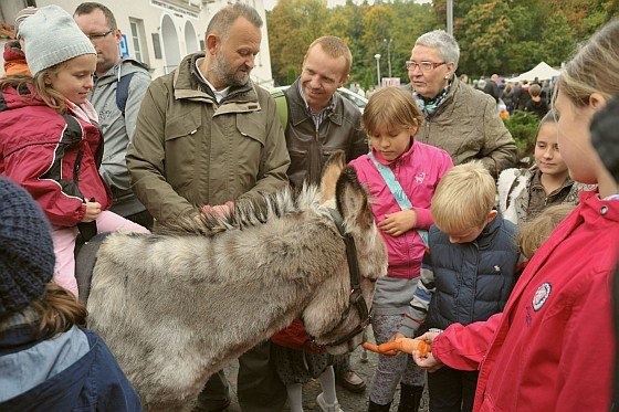 Święto świętego ekologa 