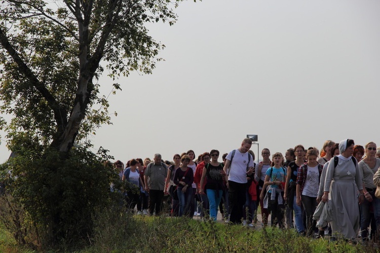 Pielgrzymka katechetów diecezji łowickiej