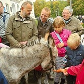  Osioł Franek to jedna z wielu atrakcji, które czekają w Lesie Bielańskim  