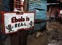 Eksperci apelują do rządów ws. eboli