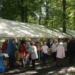 Festyn rodzinny w Bolesławcu