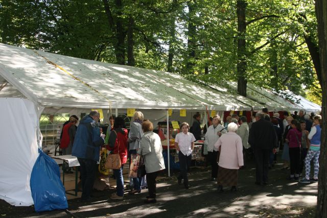 Festyn rodzinny w Bolesławcu