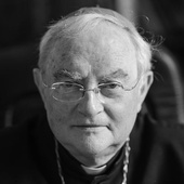 Abp Henryk Hoser