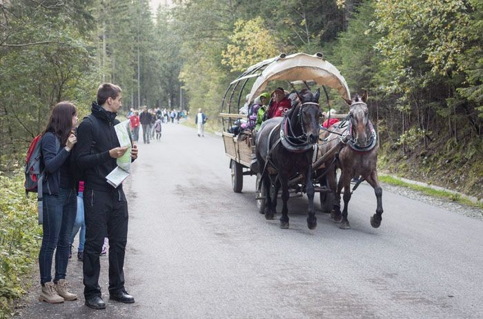 Morskie Oko: hybrydowy wóz nie dojechał