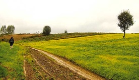  Pielgrzymka 900 km szlakiem św. Jakuba wcale nie jest najtrudniejszym etapem „Nowej drogi”