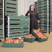  Siostra Wacława koordynowała akcję wydawania jabłek potrzebującym