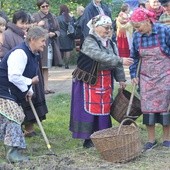 Członkowie zespołu ludowego pokazywali, jak kiedyś na wsi wygladały wykopki