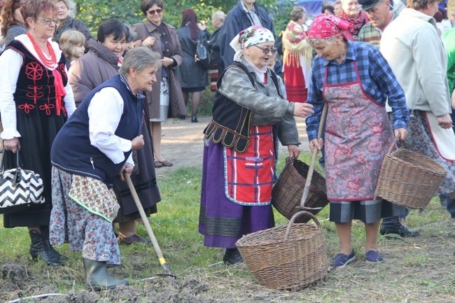 "Festiwal Ziemniaka" w Muzeum Wsi Radomskiej