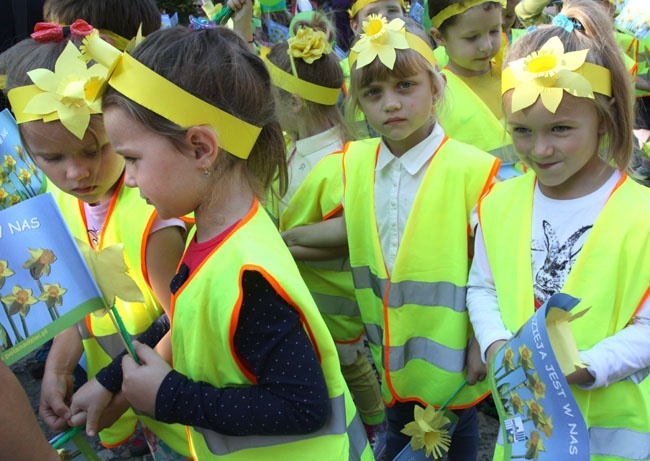 Żonkilowy Międzypokoleniowy Marsz Nadziei