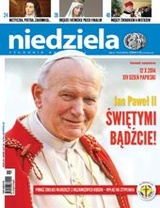 Niedziela 41/2014