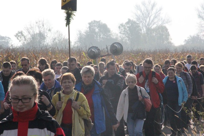 Piesza pielgrzymka do grobu św. Jadwigi