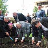  Sadzenie żonkili  – symboli akcji dla hospicjum