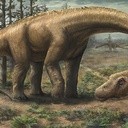 Tak mógł wyglądać Dreadnoughtus schrani