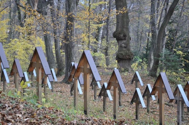 Cmentarz wojenny w Łużnej