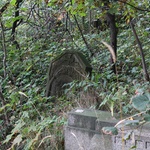 Zapomniany cmentarz