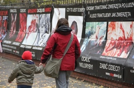 Holocaust naszych czasów