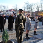 Święto Niepodległości w Nisku