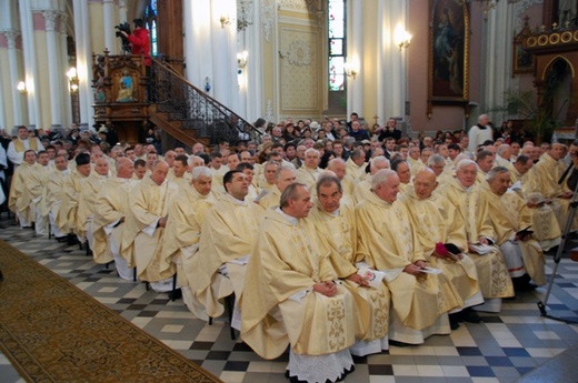 Księża koncelebrujący Mszę św. (było ich ok. 400) przyjechali z kilku diecezji z Polski i z zagranicy