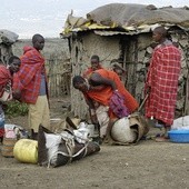 Safari kosztem 40 tysięcy Masajów