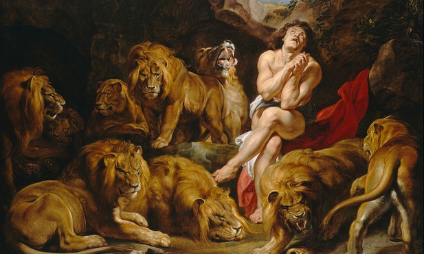 Daniel - obraz Rubensa