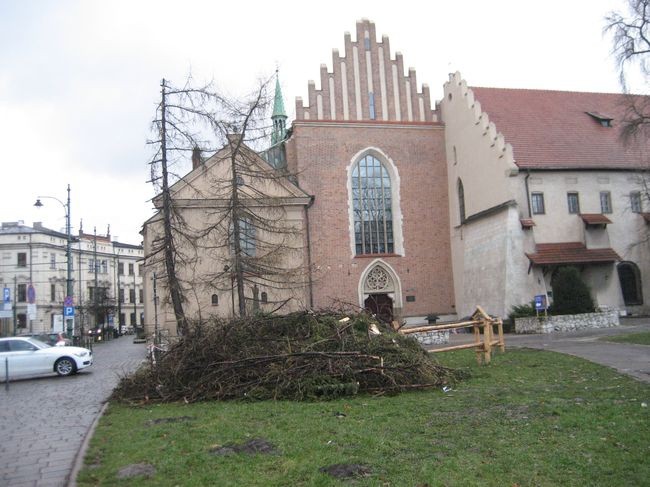 Choinka rozbłysła i runęła